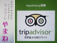 trip advisor